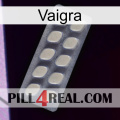 Vaigra 08